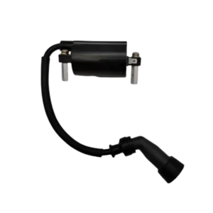 BOBINA DE ALTA 125EVO RP