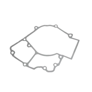 EMPAQUE CENTRO MOTOR DYNAM 2 / JET4 RP