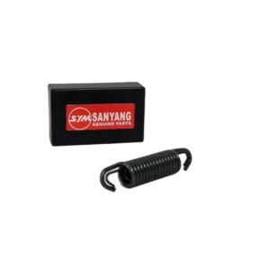 RESORTE GATO CENTRAL 125EVO RP