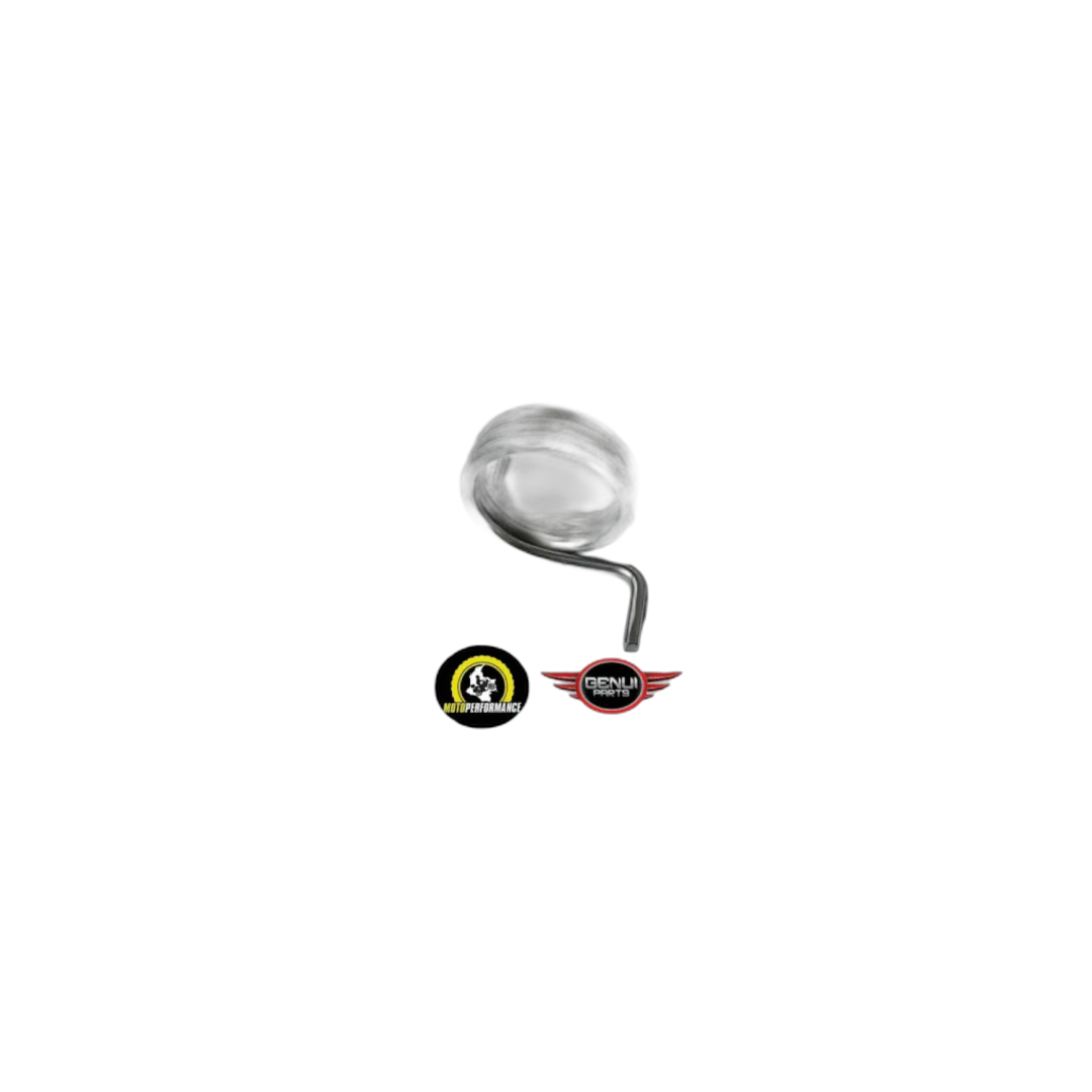 RESORTE PEDAL FRENO TTR RP